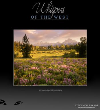 TETONS AND LUPINE HORIZONTAL